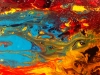 colours-in-motion-2