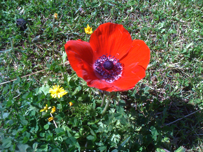Toscana – Malwoche Ostern 2010